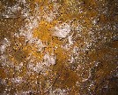 Crystals seen caving Orient Mine - Teresa Seitz