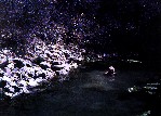 Early Soaking Pond - Teresa Seitz