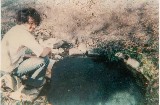 Lover's Spring in the 70s - Teresa Seitz