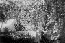 1920s Camping at Valley View - San Luis Valley Historical Society
