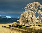 Everson Ranch, sunlit exposure - John Lorenz