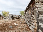 Livestock Sheds at the Everson Ranch - 