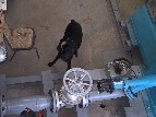 Rascal Working the Spear Valve - 