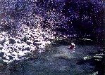 Soaking Pond in the 70s - 