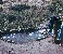 Soaking Pool 1973 - 
