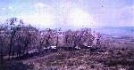 Valley View Cabins in the 70s - 