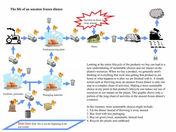 Lifecycle of a Frozen Dinner